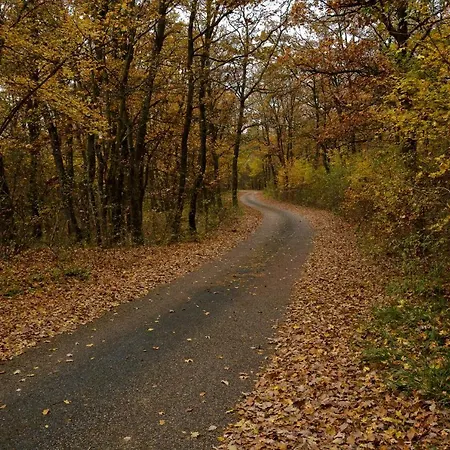 Hotel Cseri Kastelyszallo Tótvázsony