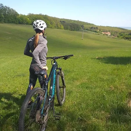 Отель Cseri Kastelyszallo Totvazsony