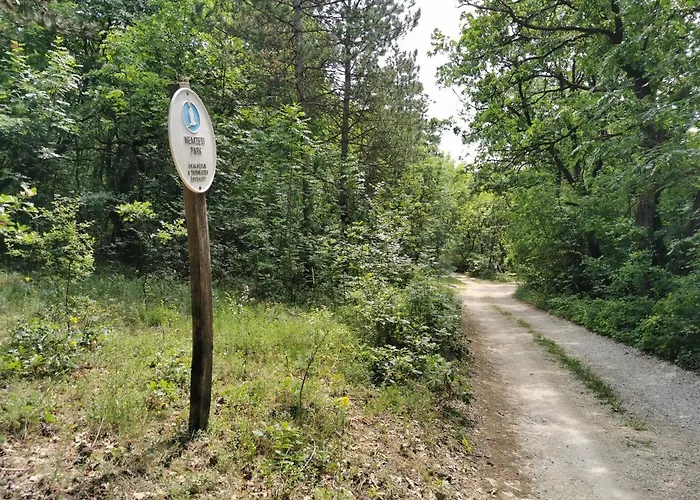 Hotel Cseri Vendeghaz 3*